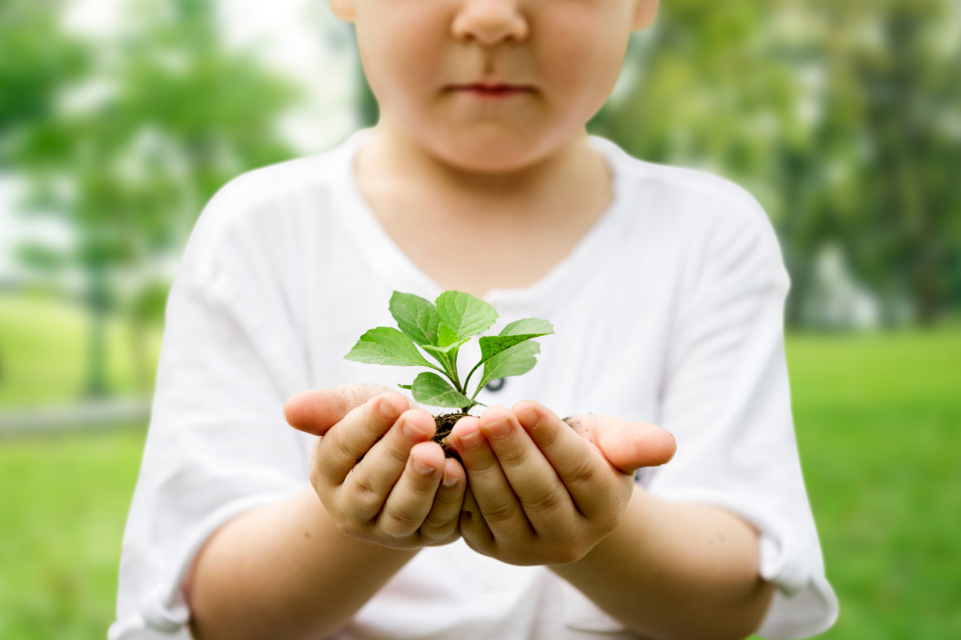 little-boy-holding-soil-plant-park-we-are-proud-s 1